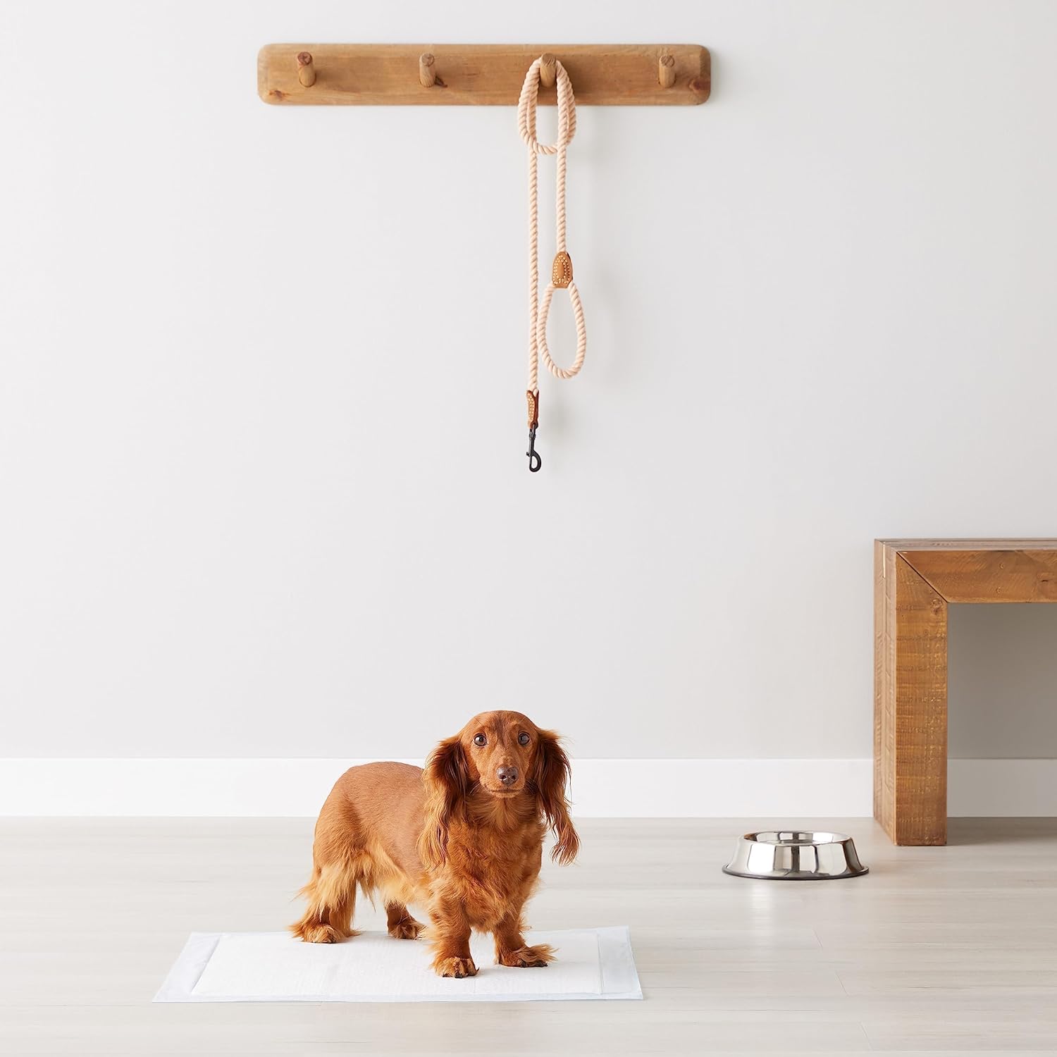 Amazon Basics Trainingspads für Hunde und Welpen, 100 Stück